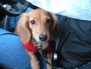 Filename=06.jpg
Filesize=85KiB
Dimensions=640x480
Date added=Mar 20, 2005 06.jpg