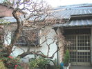 Filename=55.jpg
Filesize=179KiB
Dimensions=640x480
Date added=Mar 20, 2005 55.jpg