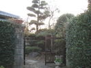 Filename=57.jpg
Filesize=143KiB
Dimensions=640x480
Date added=Mar 20, 2005 57.jpg
