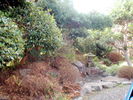 Filename=04.jpg
Filesize=219KiB
Dimensions=640x480
Date added=Mar 20, 2005 04.jpg