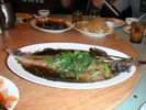 Filename=08.jpg
Filesize=207KiB
Dimensions=640x480
Date added=Mar 20, 2005 08.jpg