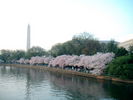 Filename=2.jpg
Filesize=112KiB
Dimensions=640x480
Date added=Mar 19, 2005 2.jpg