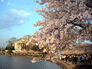 Filename=4.jpg
Filesize=197KiB
Dimensions=640x480
Date added=Mar 19, 2005 4.jpg