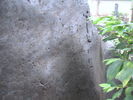 Filename=10.jpg
Filesize=183KiB
Dimensions=640x480
Date added=Aug 28, 2005 10.jpg